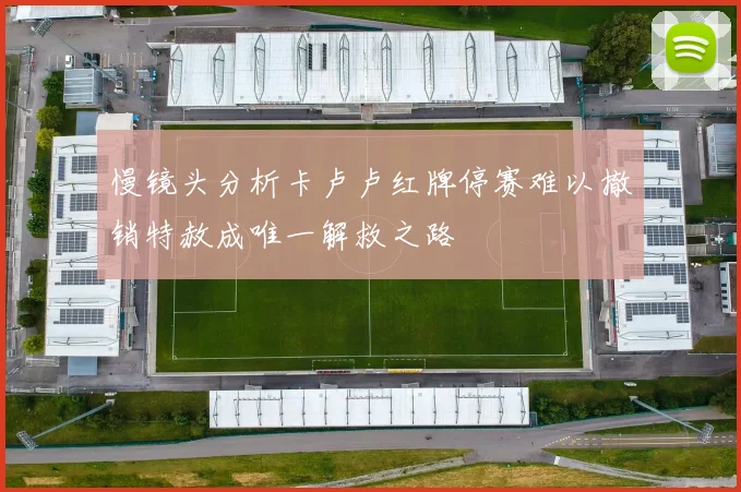 慢镜头分析卡卢卢红牌停赛难以撤销特赦成唯一解救之路