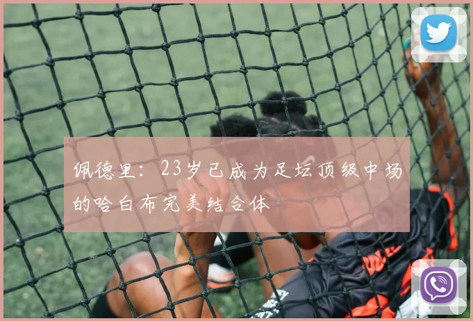 佩德里：23岁已成为足坛顶级中场的哈白布完美结合体