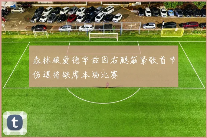 森林狼爱德华兹因右腿筋紧张首节伤退将缺席本场比赛